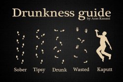 Drunkness guide Meme Template