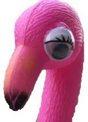 Flamingo Fabrics Meme Template