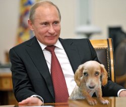 Putin Lapdog Tinkerpeach JPP Meme Template