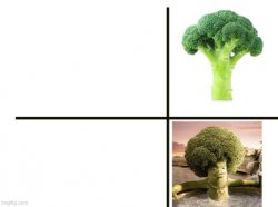 Gangsta Broccoli Meme Template
