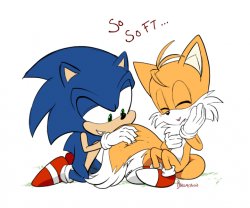 Sonic petting tails Meme Template