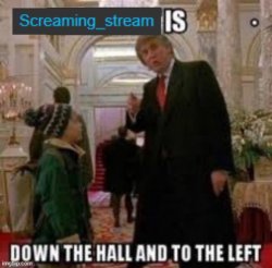Screaming_Stream  Is down the hall to the left Meme Template
