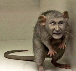 Rat Putin Meme Template