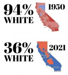 California Meme Template