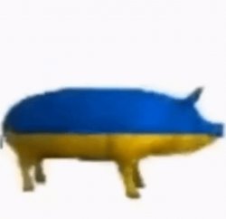 Ukraine pig Meme Template
