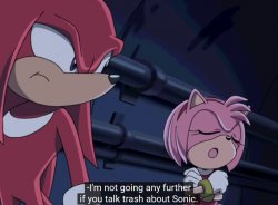 amy im not going any further if you talk trash about sonic Meme Template