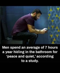 Men poop time peace and quiet Meme Template