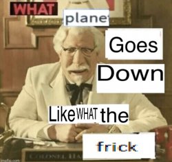 What Plane Goes Down Like WHAT the Frick Meme Template