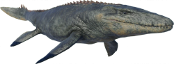 Mosasaurus 4 (JW Design) Meme Template