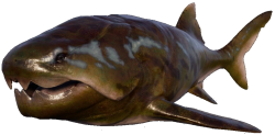 Dunkleosteus (JWE Design) Meme Template