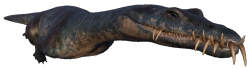 Nothosaurus 4 (JWCC Design) Meme Template