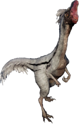 Oviraptor 5 (JWD Design) Meme Template