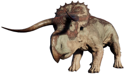 Female Nasutoceratops 2 Meme Template