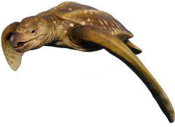 Archelon (JWE Design) Meme Template