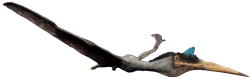 Quetzalcoatlus 4 (JWD Design) Meme Template