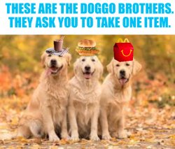 Doggo brothers Meme Template