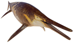 Shonisaurus 2 (JWE Design) Meme Template
