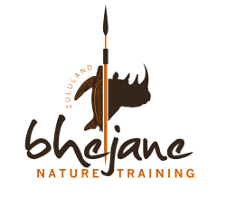 Bhejane Logo Meme Template