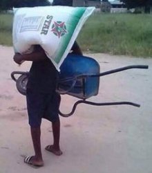 We bought wheelbarrows Meme Template