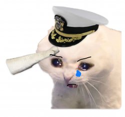 Saluting Navy Cat Meme Template