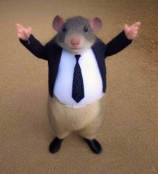 Mr. Chedda Meme Template