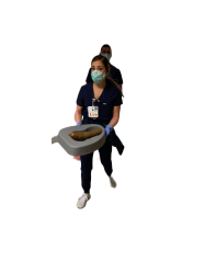 Shit nurse Meme Template