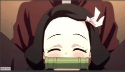 Happy nezuko Meme Template