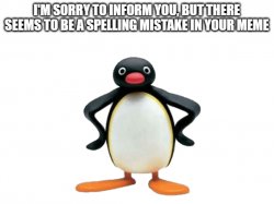 Pingu tells you about spelling mistake Meme Template