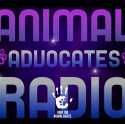 Animal Advocates Radio Meme Template