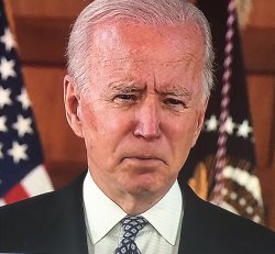 Trim them Brows Biden Meme Template