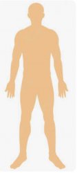 Deformed ape on 2 legs Meme Template