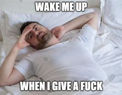 Wake Me Up When I Give A Frick Meme Template