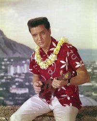 Hawaiian Elvis Meme Template