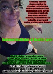 Grounding Meme Template