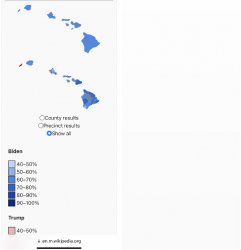 Hawaii Fires Meme Template