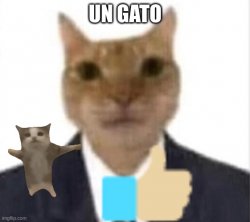 UN GATO Meme Template