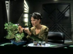 Keiko with Plant Meme Template