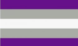 Greysexual flag Meme Template