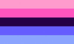 Omnisexual flag Meme Template