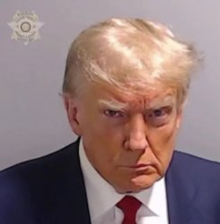 Donald Trump Mugshot Meme Template