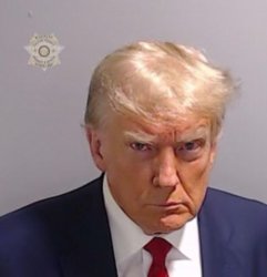 Trump Mugshot Meme Template