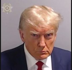 Trump’s mugshot Meme Template