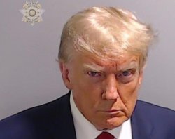 Donald Trump Mugshot face of pedophile traitor liar JPP Meme Template