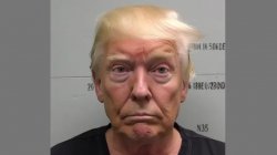 Donald Trump Mugshot Meme Template