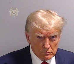 Trump Mugshot Meme Template