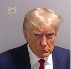 Trump mugshot Meme Template