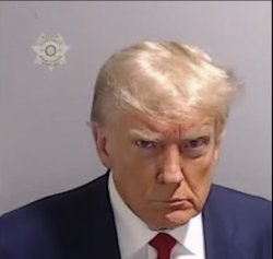 Trump Mugshot Meme Template
