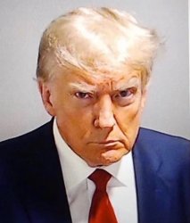 Trump Mugshot Meme Template