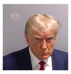 Trump booking picture Meme Template