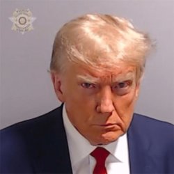 Trump mugshot Meme Template